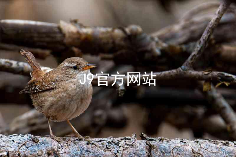 J9官方网站